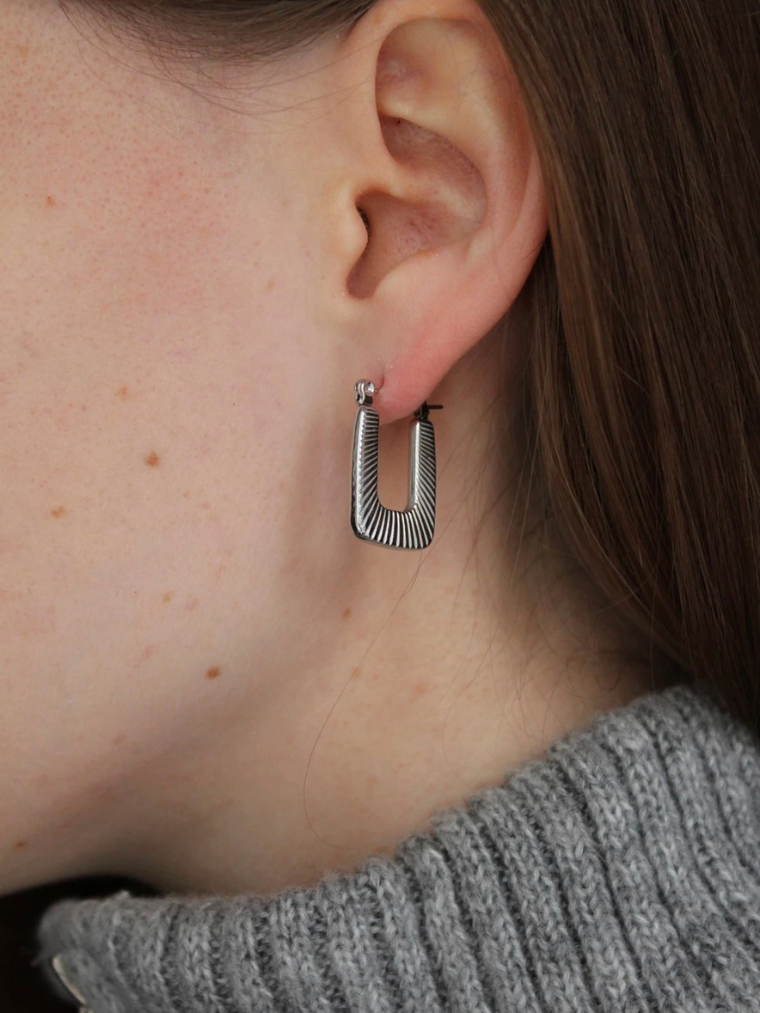 Polar earrings